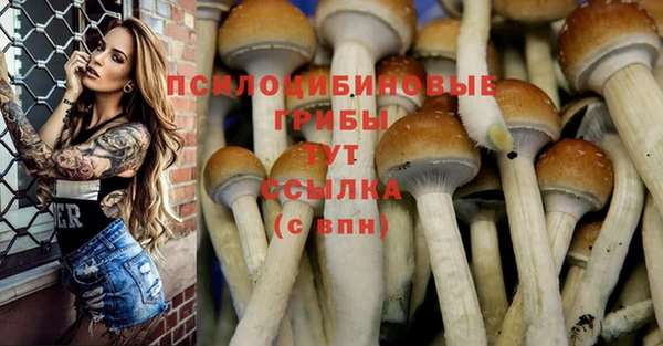 МДМА Володарск
