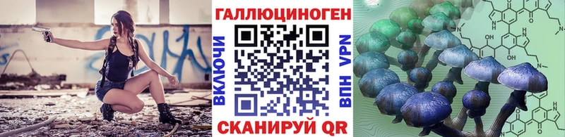 как найти закладки  Новосибирск  Псилоцибиновые грибы Magic Shrooms 